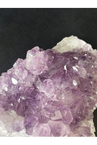 Drusa Lavanda para rodear de bienestar y amor tu hogar 2