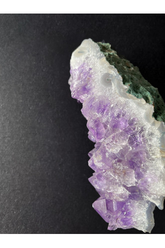 Drusa Lavanda para rodear de bienestar y amor tu hogar 2