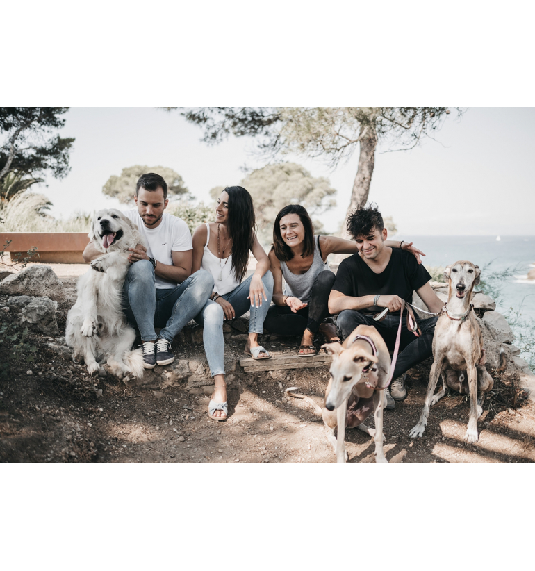 Collares artesanos de Gemas naturales para nuestros fieles amigos