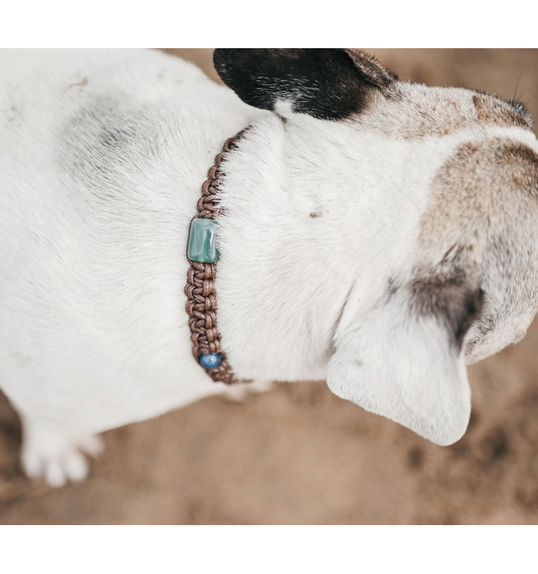 Collares artesanos de Gemas naturales para nuestros fieles amigos