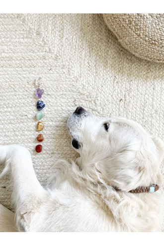 Bolsita de Gemas con los siete Chakras 2