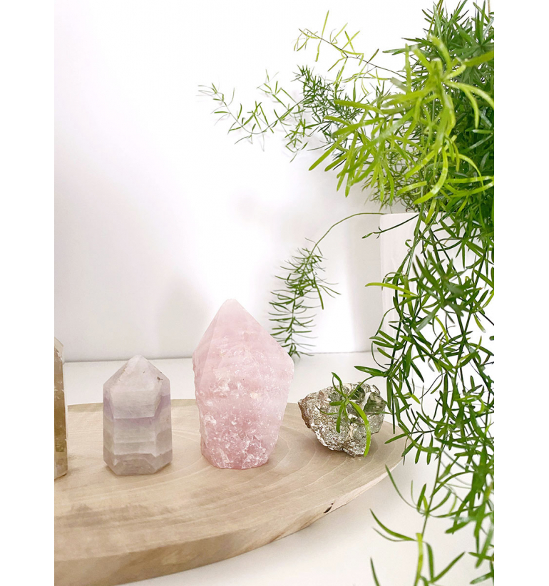 Bases de madera de Nogal sostenible para rodear de armonía y belleza tu hogar