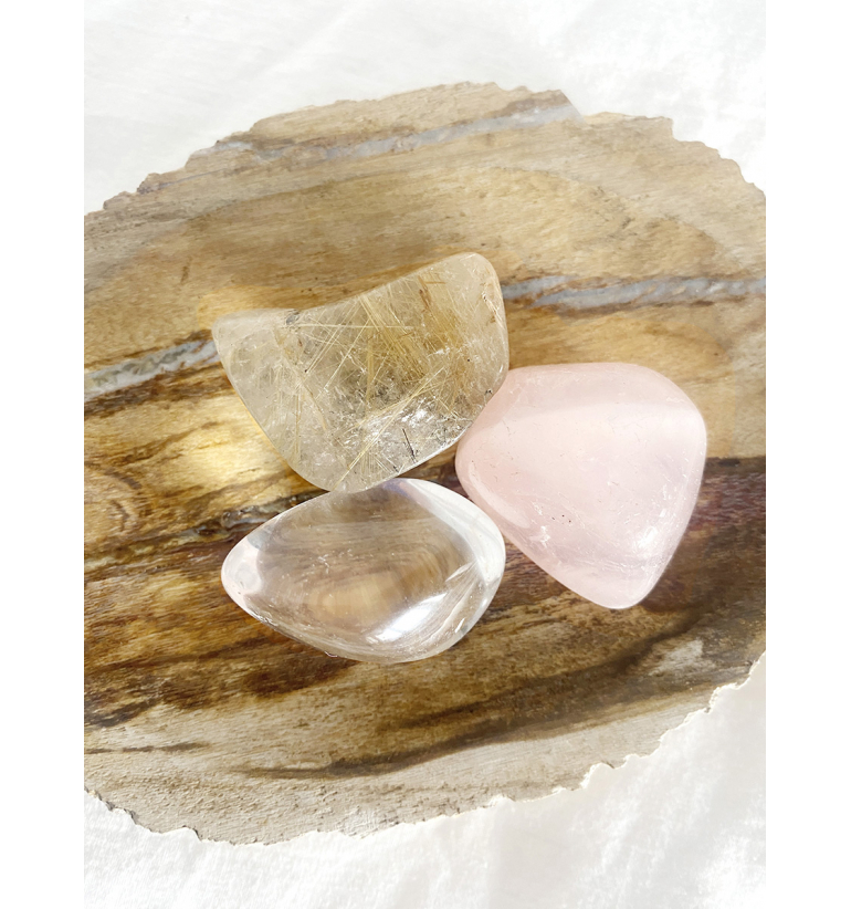 Base de Xilópalo (madera petrificada)