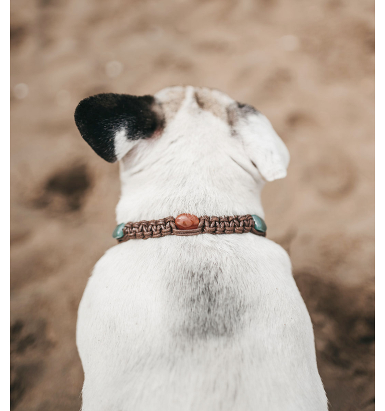 Ed. Limitada: Collar talismán...