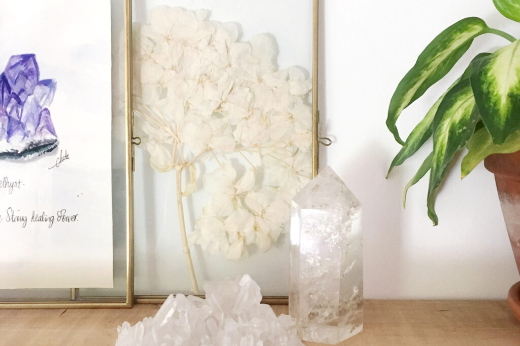 plantas y feng shui